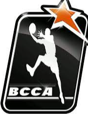 https://img.hnxinmi.com/img/basketball/team/86eb4908777714248caec71cbbc0c7db.png