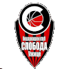 https://img.hnxinmi.com/img/basketball/team/884139678d7311cf2ba62d32c8939d88.png